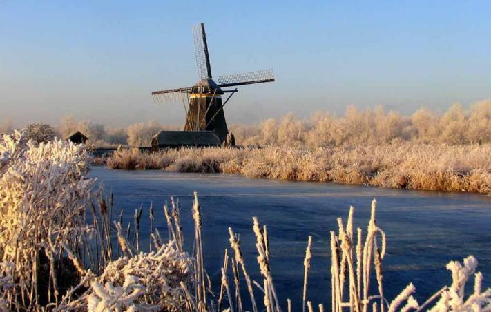 De Strandgaper Bed & Breakfast Zevenhuizen (Zuidplas)